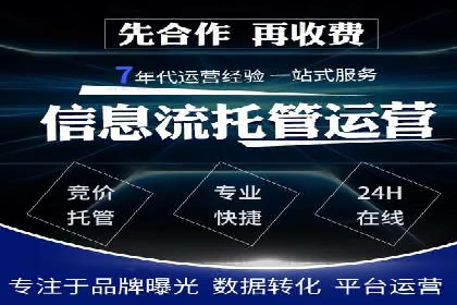 成功运用SEM服务实现品牌推广的案例分析